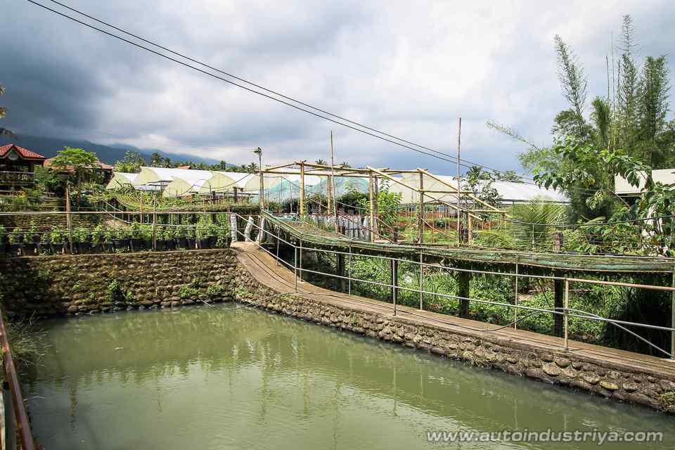 An All-Organic Road Trip: Costales Nature Farm with the Ford Ranger FX4