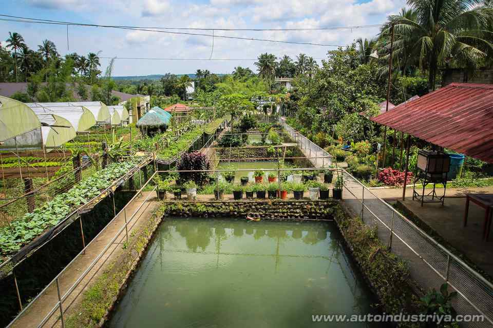 An All-Organic Road Trip: Costales Nature Farm with the Ford Ranger FX4