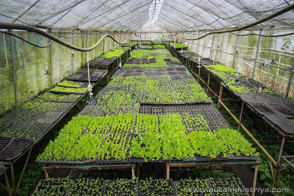 An All-Organic Road Trip: Costales Nature Farm with the Ford Ranger FX4