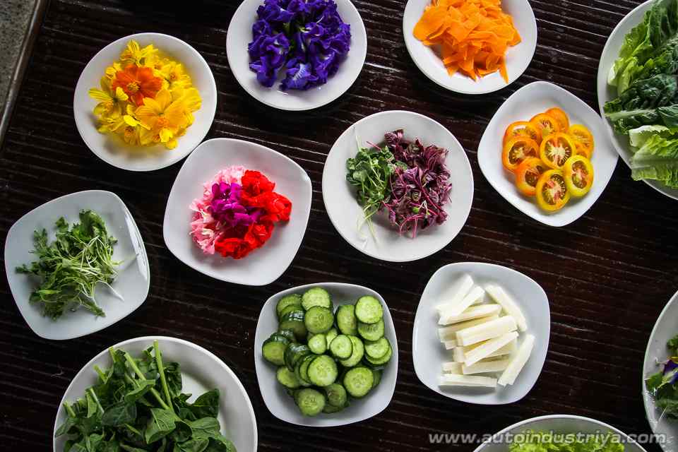 An All-Organic Road Trip: Costales Nature Farm with the Ford Ranger FX4