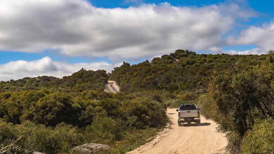 First Drive: 2019 Nissan Navara with steering, suspension upgrades 