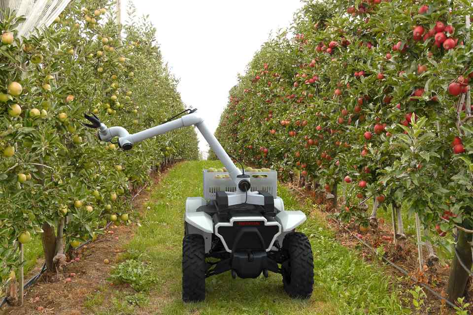 Honda's latest workhorse is a self-driving, all-terrain vehicle